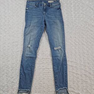 Blank NYC Spray on Skinny Jean Size 27